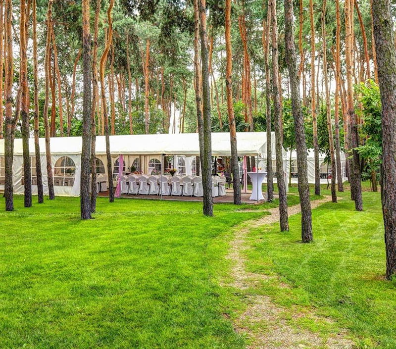 Plenerowy event kasynowy – lato pełne wrażeń